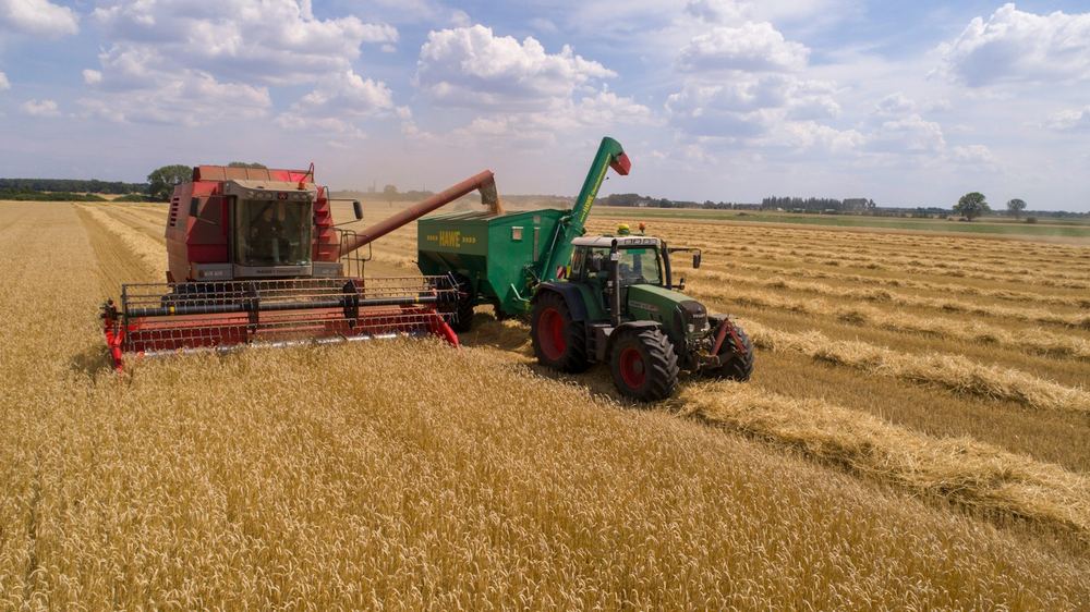 Cultivators working a brown field